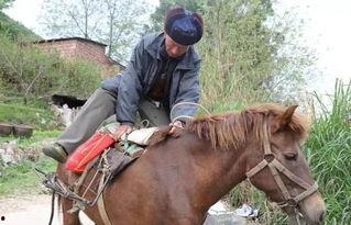 网红骑马爆料视频大全最新,揭秘马背上的精彩瞬间  第1张
